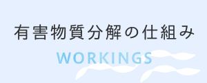 有害物質分解の仕組み