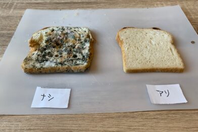 【光触媒コーティング】効果の検証