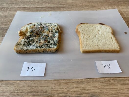 【光触媒コーティング】効果の検証