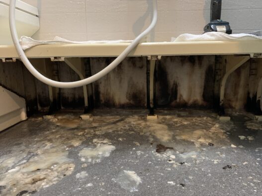 【浴室の臭いの原因】